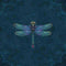Brigid Ashwood Mystical Dragonfly Surface Pro Tablet Skin